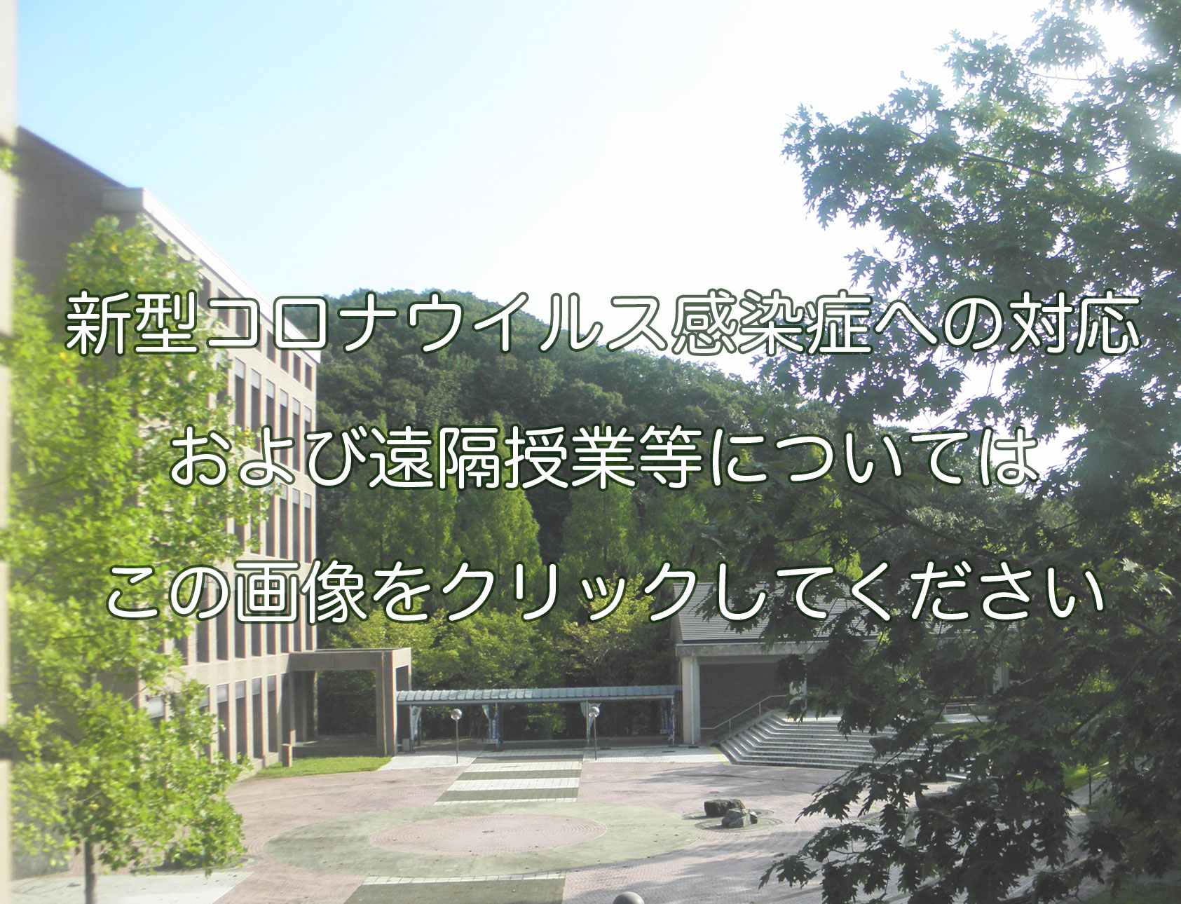 南 九州 大学 ユニパ