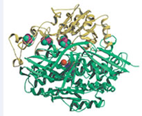 Protein Crystallography