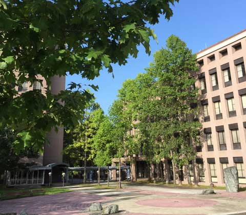 University of Hyogo, School of Science