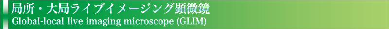 局所・大局ライブイメージング顕微鏡