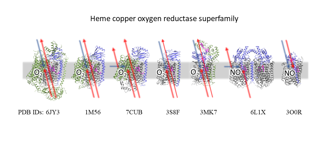 酵素 やぶらぶウォーカー / 酵素水 ZEROのちから(濃縮液)