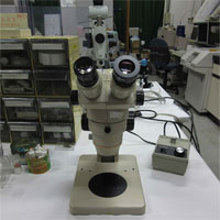 Stereoscopic microscope，OLYMPUS SZ60 