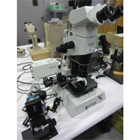 Stereoscopic microscope with manipulator，OLYMPUS SZX12