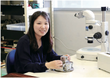 2016-0701_SPring-8 NEWS