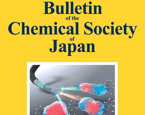 Bull. Chem. Soc. Jpn. DOI: 10.1246/bcsj.20180187 BCSJ Award Article