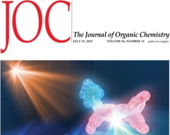 The Journal of Organic Chemistry DOI:10.1021/acs.joc.9b0083610, Supplementary Cover Art.