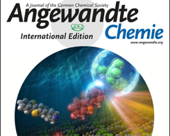 Angewandte Chemie Internationl Edition DOI:10.1002/anie.202301109, Cover Picture.