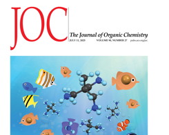 J.Org.Chem. DOI: 10.1021/acs.joc.5c00474 Supplementary Cover Art