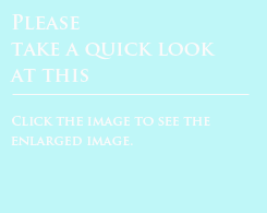 クリックすると画像が拡大されます
