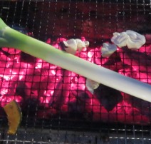 研究室夏のBBQ2016