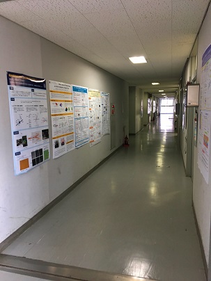 H31-7