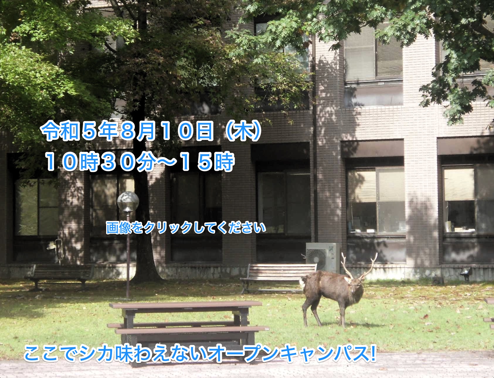 大阪大学大学院医学系研究科 博士課程入学試験 過去問平成22年～30年